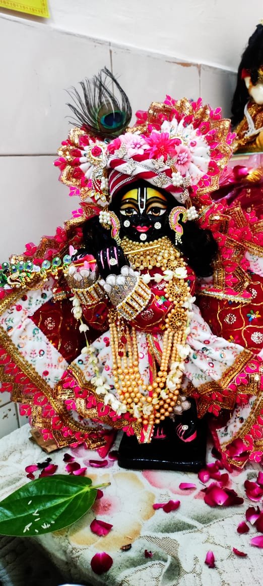 Laddu Gopal