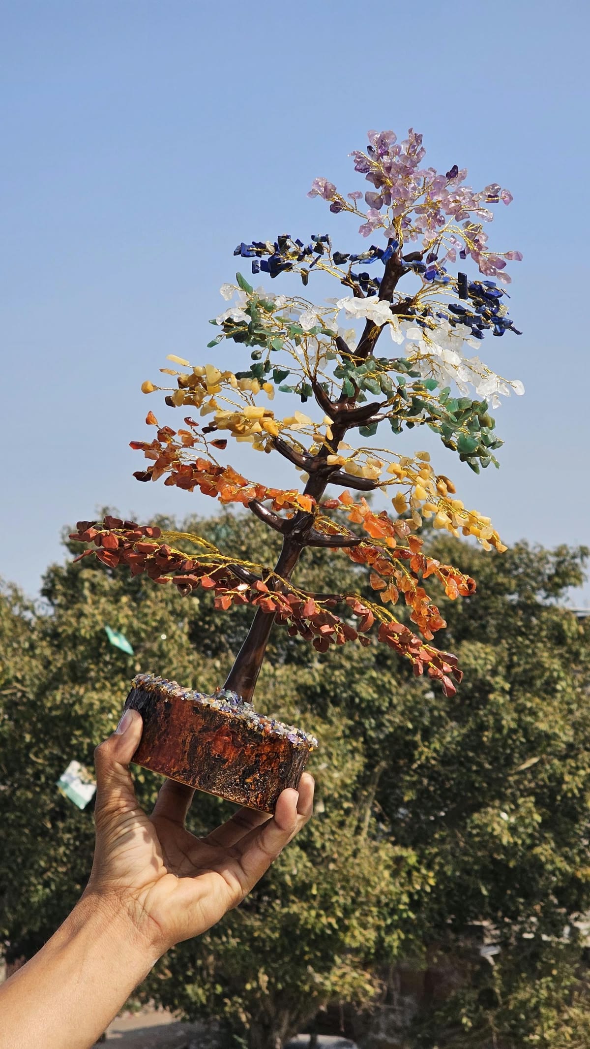 7 Chakra Tree