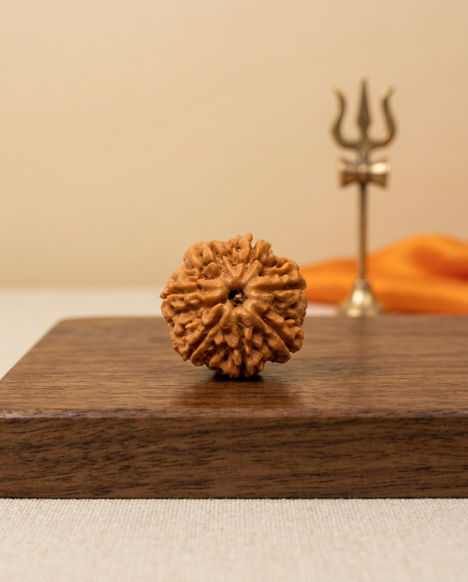7 Mukhi Bead