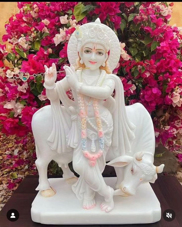 Lord Krishna