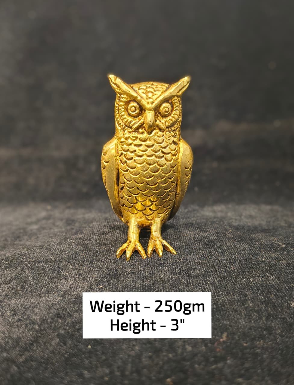 Owl