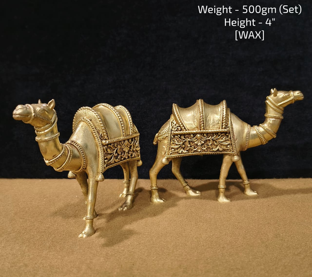 Camel